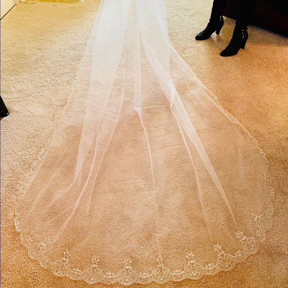 Bridal Veil (Ansonia Bridal Veil)